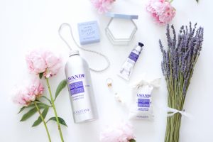 L'Occitane Aromatic Lavender Gift Set