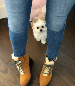 Wearing Naturalizer All-weather boots while Darby the puppy sneaks into the photo.