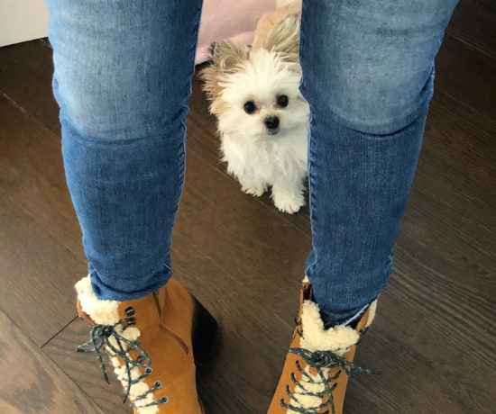 Wearing Naturalizer All-weather boots while Darby the puppy sneaks into the photo.